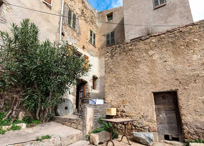 Hébergement de vacances U Fragnu - A 10min De Lile-rousse Santa-Reparata-di-Balagna